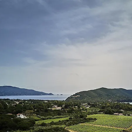 Soldanella * Capoliveri (Isola d'Elba)