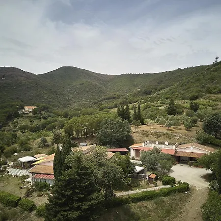 Soldanella * Capoliveri (Isola d'Elba)